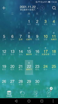 11月22日出生的人命运