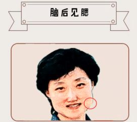 脑后见腮的人命运好吗