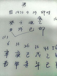 属鸡农历9月29日出生的人命运如何