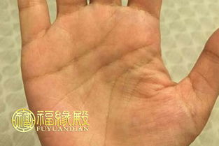 川字纹的男人命运怎么样