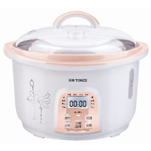 天际隔水炖锅食谱