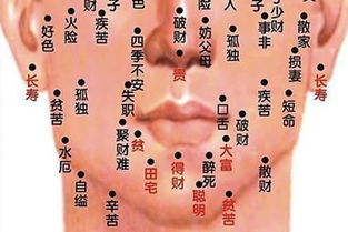 菊花有痣的男人命运