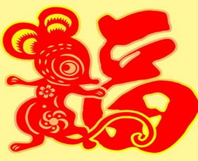 鼠酉时出生的人命运