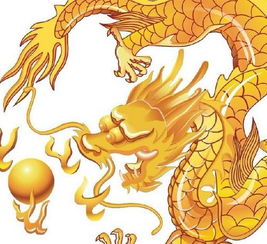 属龙酉时出生的人命运