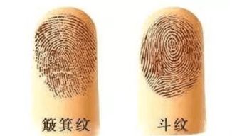 6个斗的女人命运