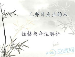 命宫乙卯人命运