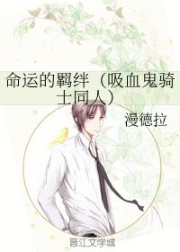 吸血鬼骑士同人命运的羁绊