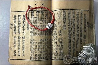 丙辰日不同时辰生人命运