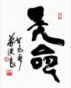一九九七年三月生的女人命运
