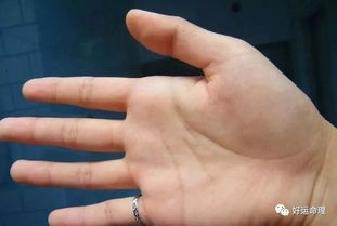 手指短粗的人命运怎样