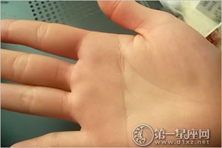 女右手断掌的人命运会怎么样