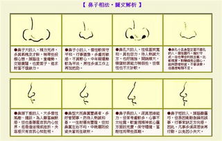 鼻子带驼峰的男人命运