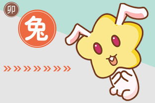 腊月出生的属兔人命运