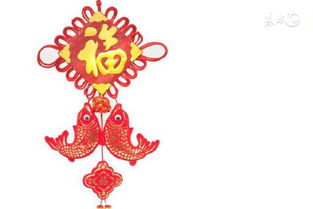 个人命运卜算