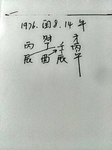 丙午日丁酉月出生的人命运
