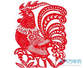 2017鸡生人命运如何
