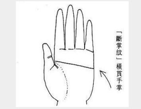 假断掌的女人命运