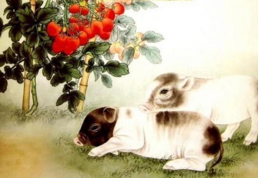 属猪已时生的女人命运