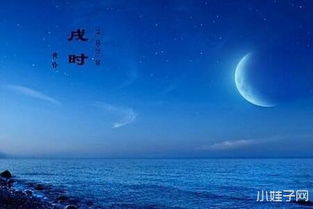 鸡年戌时出生的人命运
