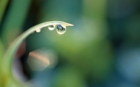雨水节气生的人命运