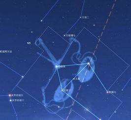 辛未月壬子日壬寅时生人命运如何