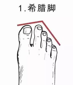罗马脚女人命运埃及脚男人