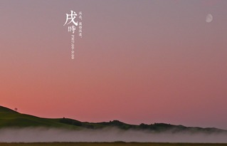 兔年戌时出生的人命运