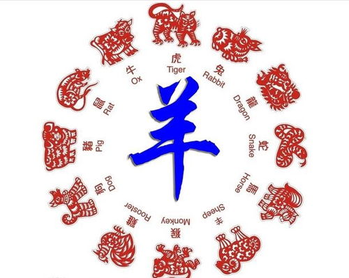 11月生属羊人命运如何