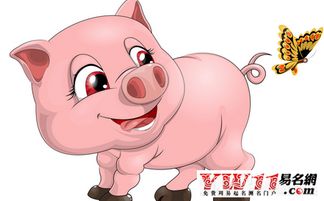 算命猪的人命运2018