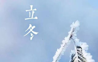 97立冬出生的人命运如何