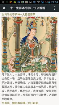 1978年生的人命运