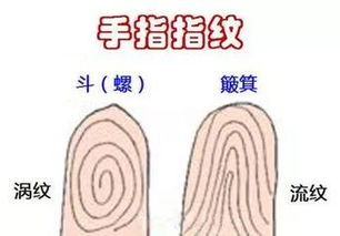 10个手指全是簸箕的人命运