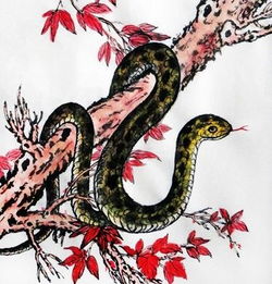三月属蛇的人命运