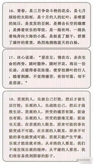 历史潮流与个人命运作文素材