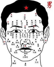 人字掌的男人命运好吗