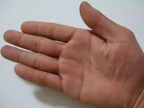 手指短手掌大的人命运