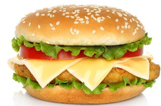 汉堡包用英语怎么说