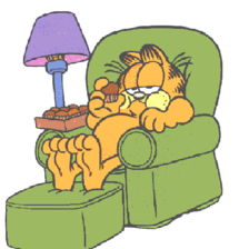 上网用英语怎么说