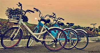 怎么用共享单车