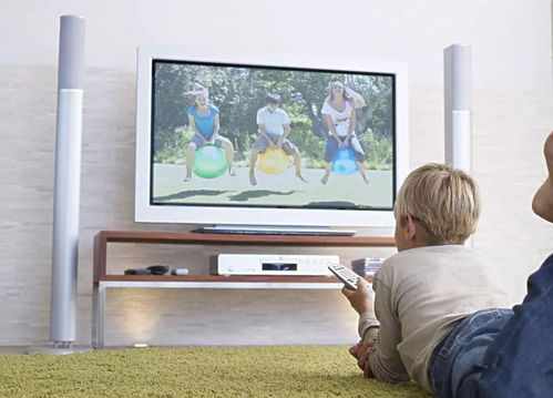 学习小知识的电视节目