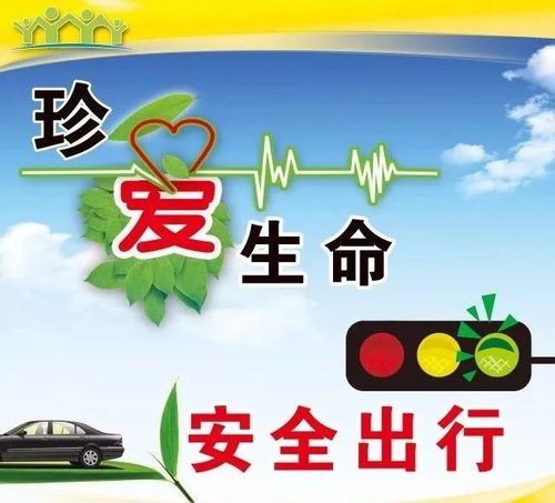 交通安全防范常识内容