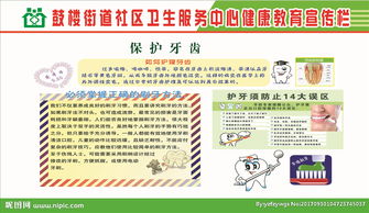 l关于爱护牙齿的小知识