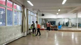 护鸥活动的小知识