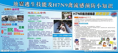 有关防地震小知识的