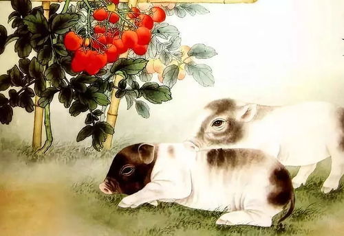 1967属猪的女人命运