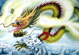 1988龙人命运