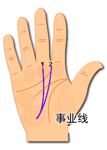 没有事业线的女人命运