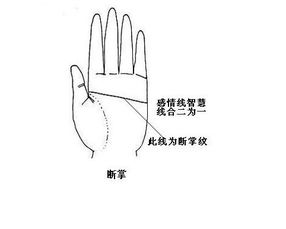 生断掌的人命运如何