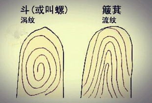 左手一个斗的男人命运