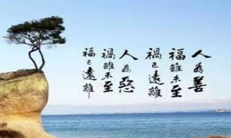 人命运怎么算